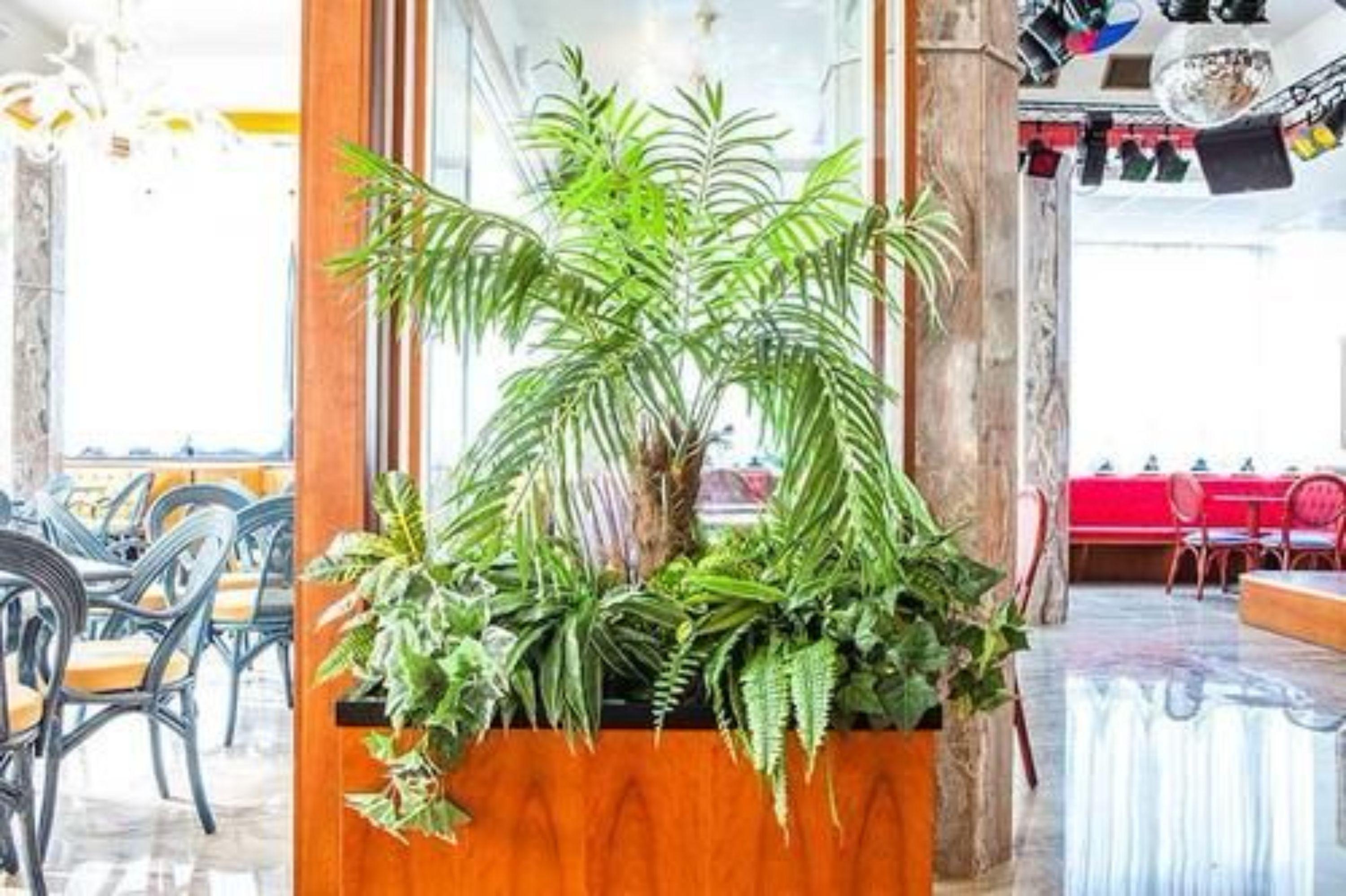 Brioni Mare Hotel Lido di Jesolo